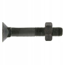 Sraigtas su veržle m12x1 75x100 mm x25 vnt