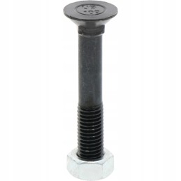 Sraigtas su veržle m12x1 75x75 mm 10 9x25 vnt.