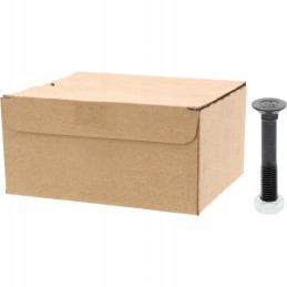 Sraigtas su veržle m12x1 75x75 mm 10 9x25 vnt.