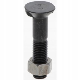 Sraigtas su veržle M16x2x80 10 9 din 11014