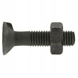 Sraigtas su veržle M10x1 5x25 mm 10 9 x25 vnt
