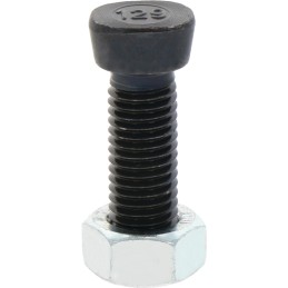 Sraigtas su veržle M12x1 75x45 mm 12 9
