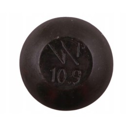 Grybų varžtas M12x30 klasė 10 Warynski 25x