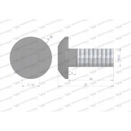 Grybų varžtas M12x30 klasė 10 Warynski 25x