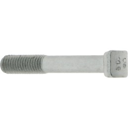 Plaktuko galvutės varžtas m10x1 5x70 mm 10 9