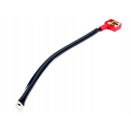 Įžeminimo kabelis 460 mm plius įžeminimas c 330 expom kv