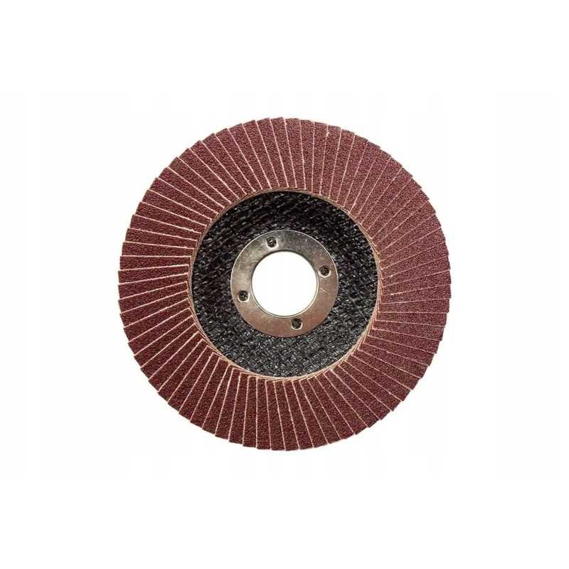 1861231204 dribsnių diskas, 125 x 22 grūdų 40