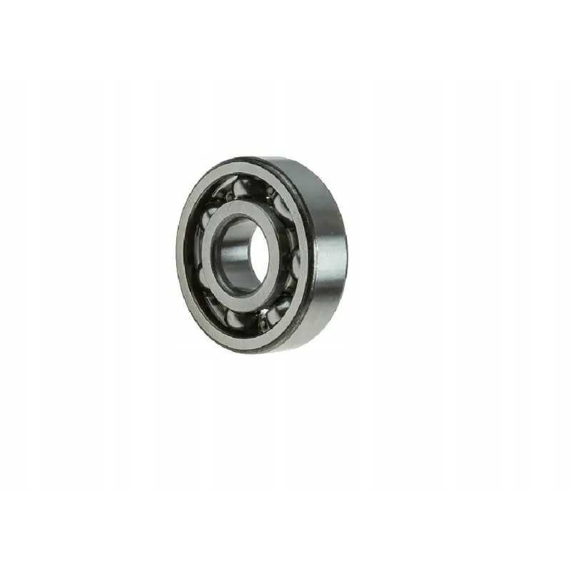 Guolis 6303 1rs