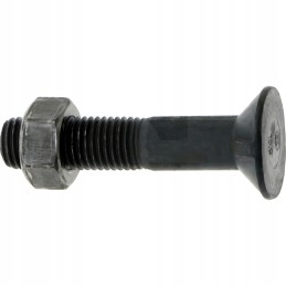 Kaiščio varžtas m16x80 11014 din 10 9