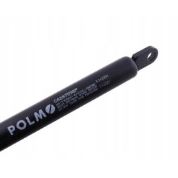 Galinio lango pavara l max 500mm ca287598p masė