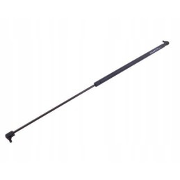 Galinio lango pavara l max 785mm 3389556m1p masė