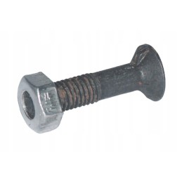 16401n 1 nosies varžtas M16x40 su veržle