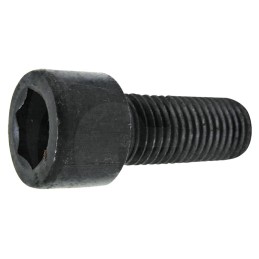 Varžtas m16 x 2 x 55 mm 12 9