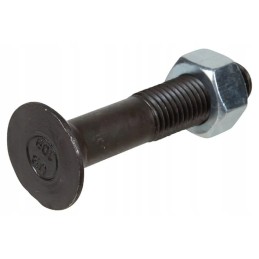 16801n 1 nosies varžtas M16x80 su veržle