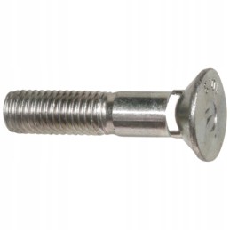 Rabe varžtas m12 x 55 10 9