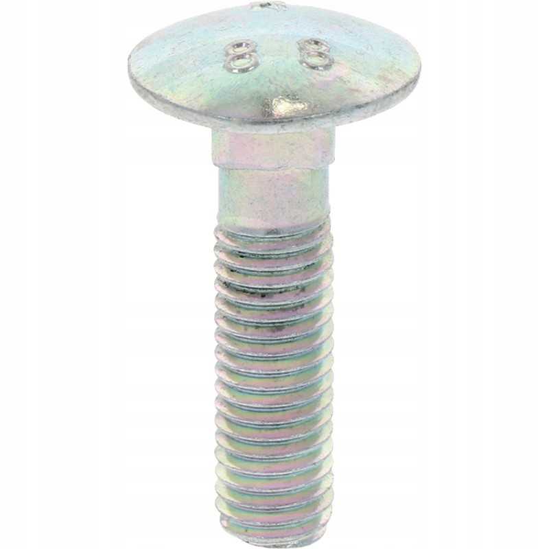 Maschio varžtas 10x40mm