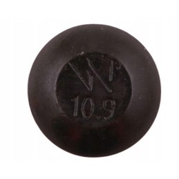 Įkišamas varžtas m12x30mm, 25 Warynski vnt