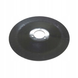 Lygus noragėlių diskas 300x3 0