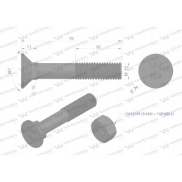 Varžtų rinkinys, fiksuojamas kaištis d 608 m12x70 mm, 12 klasė