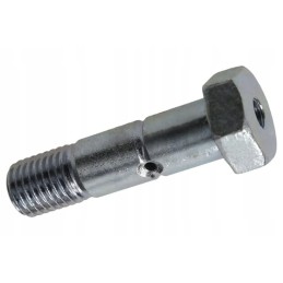3014604 varžtas M20x75 su tepimo anga