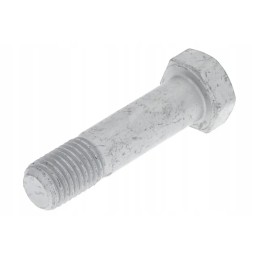 3013870 varžtas m16x65 10 9 klasė