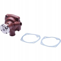 Fendt f281200610010 vandens siurblys