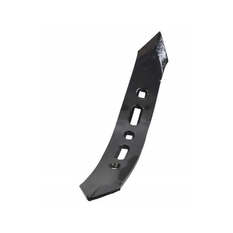 Amazone kairysis noragas 78708677