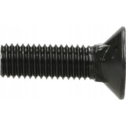 Sraigtas 4 kampu su atrama din608 m12x40 mm