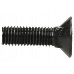 Sraigtas 4 kampu su atrama din608 m12x40 mm