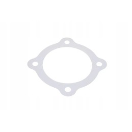 850103899 antspaudas