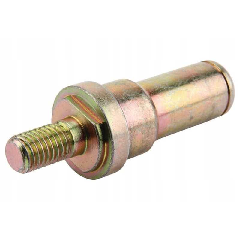 951410 guolio velenas diskiniam noragui