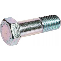 Varžtas su 6 kt galvute, m16x50 mm, 8 8 klasė, cinkuotas