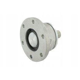 5554512 dešiniųjų guolių komplektas d30x100