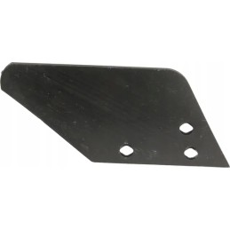 Skimmerio formos sparnas dešinėje, nuotr