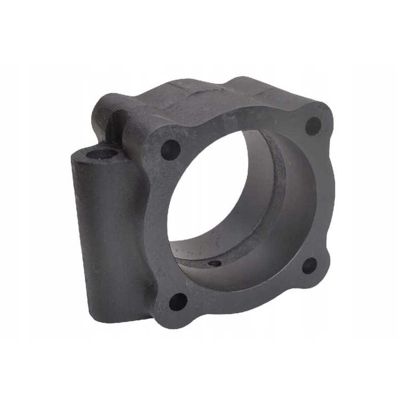 25051be guolio korpusas c40 ketaus