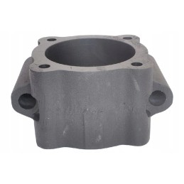 25051be guolio korpusas c40 ketaus