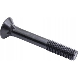 Kaiščio varžtas 4 kampai su atrama din 608 m12 x