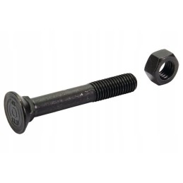 Kaiščio varžtas 4 kampai su atrama din 608 m12 x