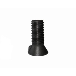 M20x50 ISO DIS 5713 varžtas