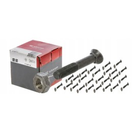 Išgaubtas noragėlių varžtas cl 8 8 m10 x 60 mm su veržle