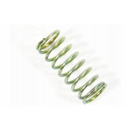 10150027n spyruoklė 5690