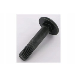 22044908 apvalus plokščias varžtas m16x75 10 9