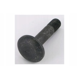 22044908 apvalus plokščias varžtas m16x75 10 9