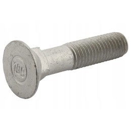 506200 kūgio galvutės varžtas pl m12x55