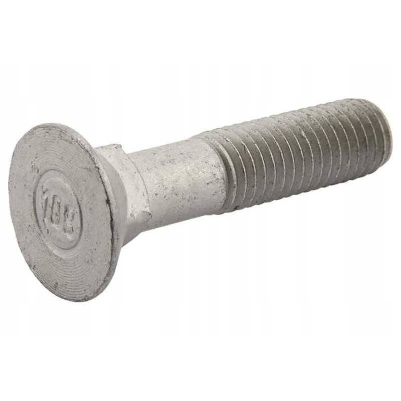 506200 kūgio galvutės varžtas pl m12x55