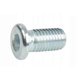 23010206 varžtas 5 8 11x30