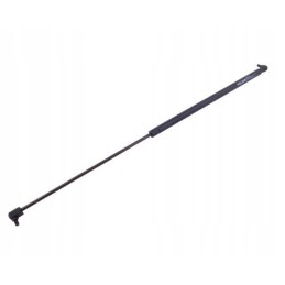 Galinio lango pavara l max 785mm 3389556m1p masė