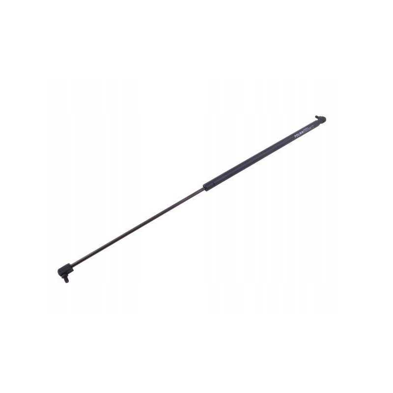 Galinio lango pavara l max 785mm 3389556m1p masė