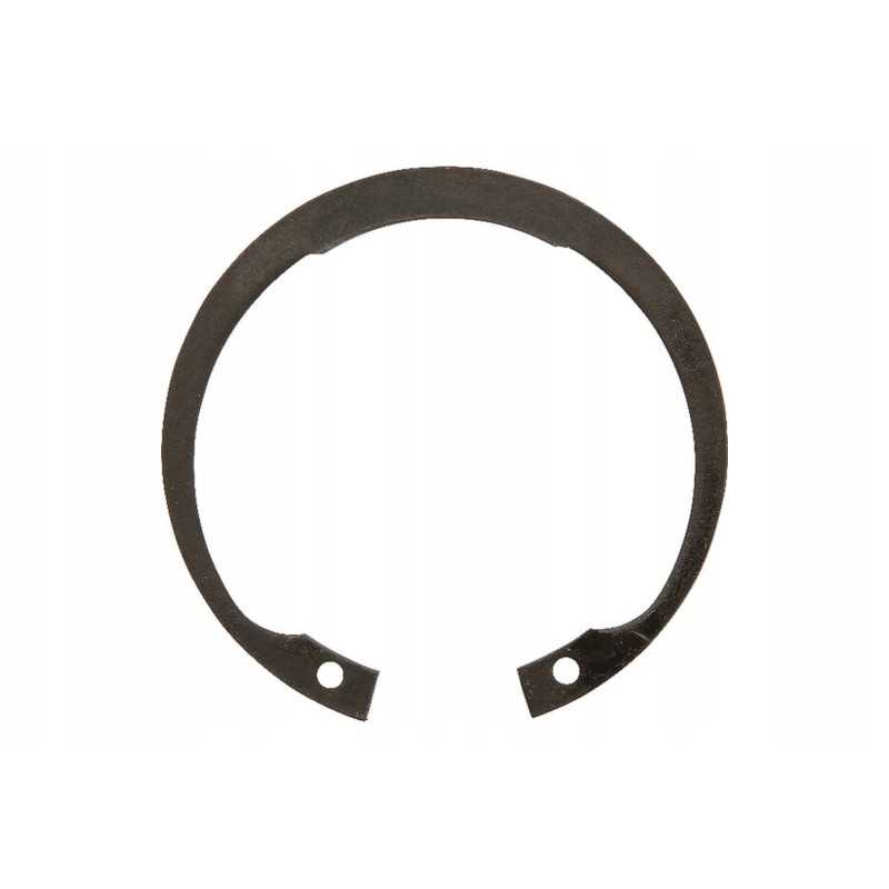 Dl099 žiedas 52 x 2 mm