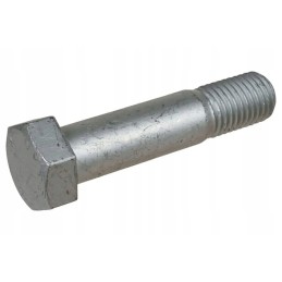 00310058 varžtas 24x107 sw36 n zn ge